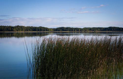 SASKI ZAKĄTEK, WAKACJE W BAJKOWYM DOMKU!!! MAZURY, SAUNA, JEZiORO, POMOST, - Foto 63