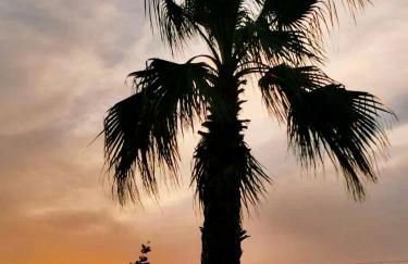 Villa Valentino Pompeji - Foto 58