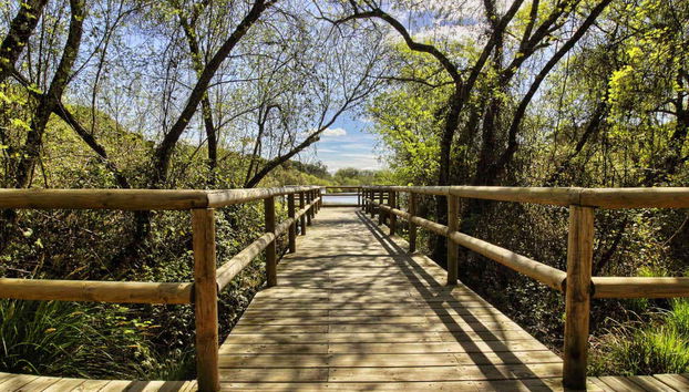 Doñana Day Trip - Foto 4