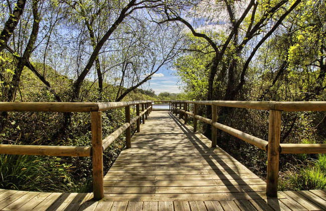 Doñana Day Trip - Foto 4