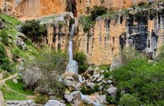 Saluda Alta - Foto 20