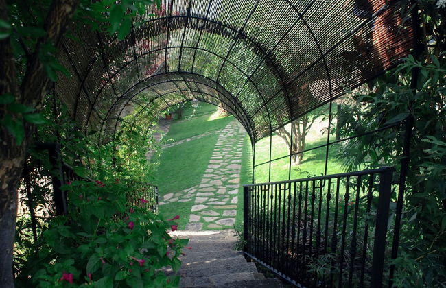 El Calambuco - Photo 25