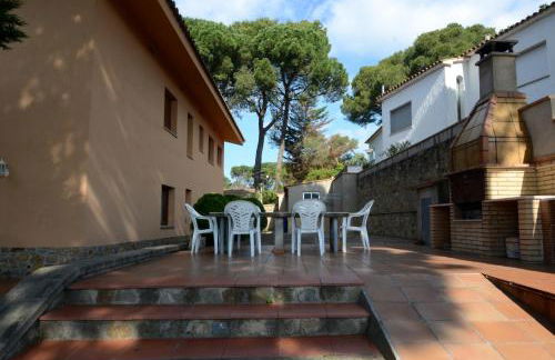 Museu Baixos - Foto 8