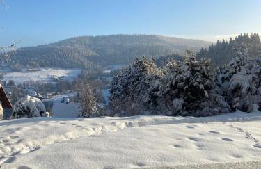 Cerla Korbielów - Domek dla Dwojga - Foto 73