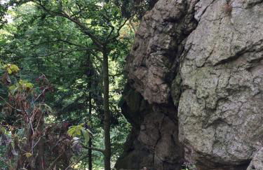 Ferienwohnungen Am Elfenstein - Foto 46