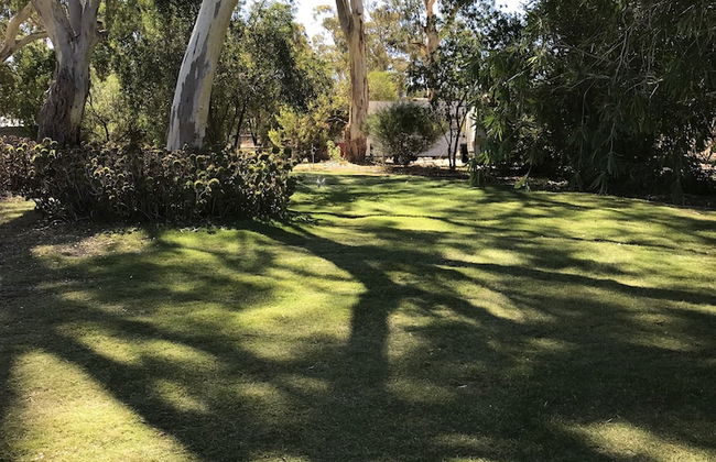 Padthaway Caravan Park - Foto 49