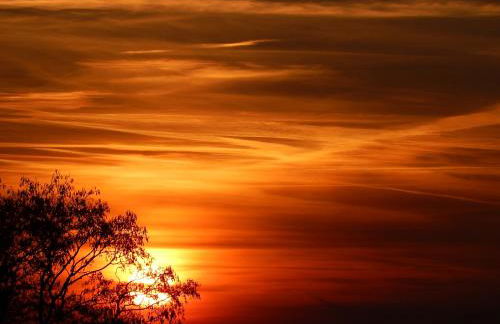 Kornspeicher Himmelpfort - Foto 18