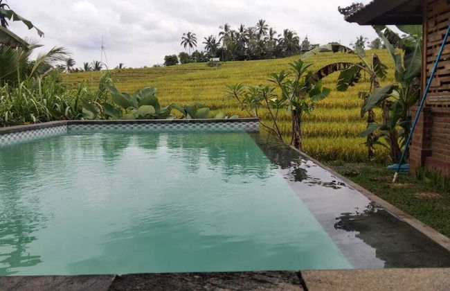 Balitrees Retreats - Foto 11