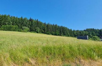 Ferienhaus Romy - Photo 25