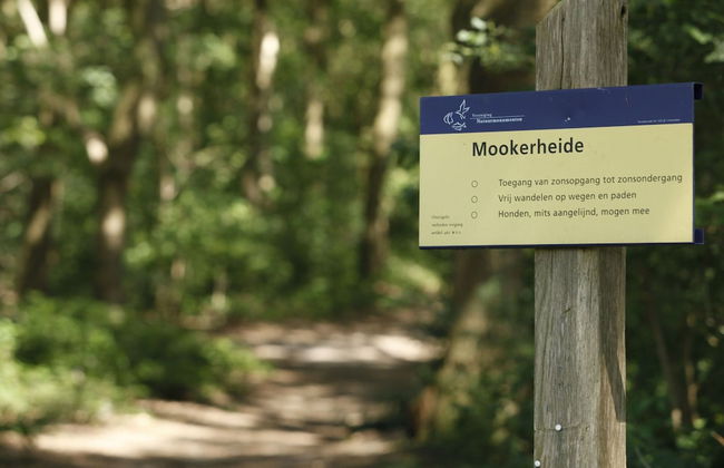 Holiday Home in Gelderland Near Nature Trails - Photo 24