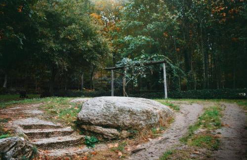 Quinta das Fontes - Alojamento Rústico Local e Turismo Rural - Foto 34