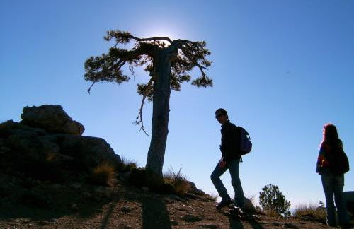 Casas Cueva Cazorla - Foto 56