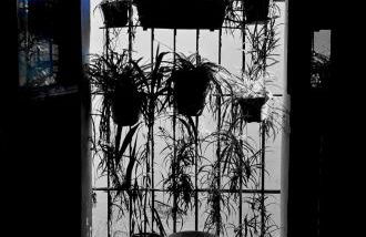 Posada Matadero - Foto 16