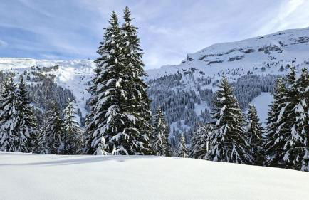 Résidence Sagittaire - Studio entièrement rénové avec cabine · Centre station · Balcon MAE-7390 - Foto 12