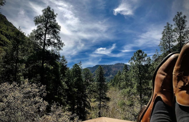 Junipine Resort - Foto 34