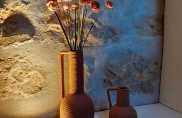 Gite de la Reine Blanche - Foto 9