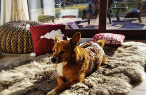 Skalny Zakątek z Grotą Solną na wyłączność - Foto 18