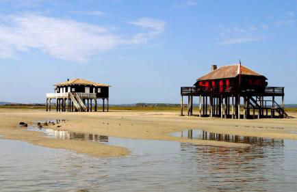 Maison piscine 4 ch Carcans Médoc Bassin Arcachon - Foto 26