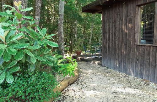 Le gîte de la cabane de l'oiseau - Foto 9