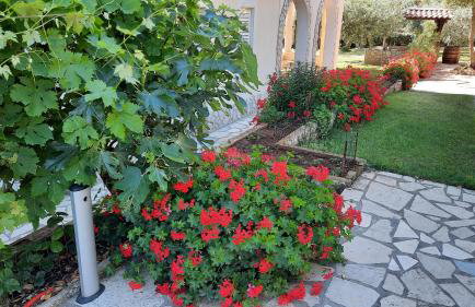 Apartments Grbin - Foto 39