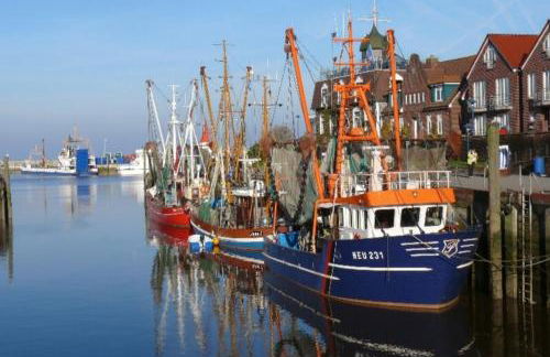 Apartment Ant Blink - Photo 16