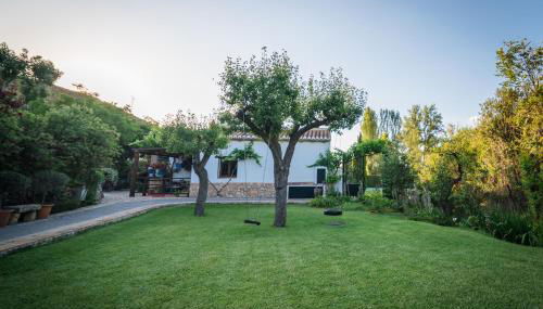 Al Agia - Molino Mísqueres de Padul - Foto 5, Garden