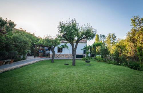 Al Agia - Molino Mísqueres de Padul - Foto 5