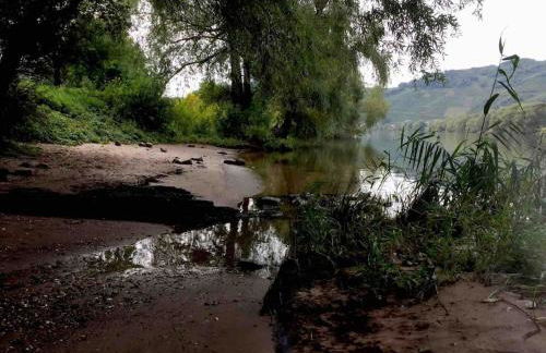 Wohnen direkt am Moselstrand - Foto 52