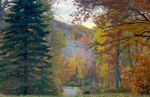 Mars Hill Cabin with Pool Table about 2 Mi to Wolf Ridge - Foto 31