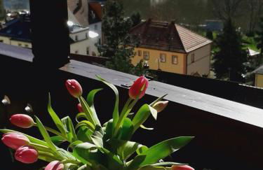 Wehlener Landhaus in Stadt Wehlen, Sächsische Schweiz - Foto 22