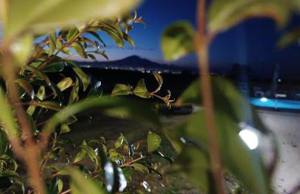 Villa Aurelia - Photo 6
