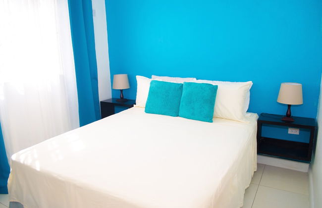 Centrally located Oakland Guest Apartment II - Photo 4