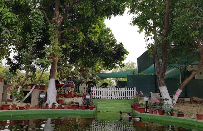 Koko's Farm - Foto 16