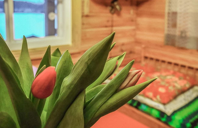 Villa siesta - Photo 23