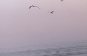 PROMO INIZIO ANNO, Eleganza in Centro Città, Mare e Parcheggio a Due Passi - Foto 29
