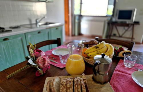 Agriturismo il Pino - Bioagricoltura - Photo 65