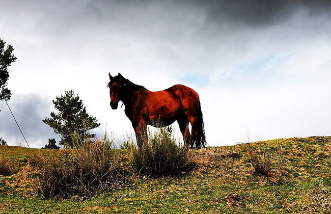 Turisme Rural El Janpere - Foto 11