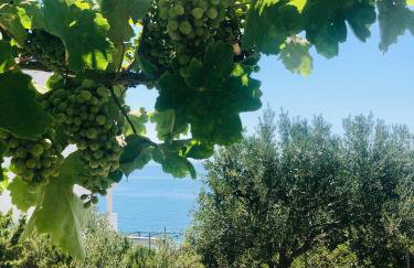 Villa Dani Sea & Pool Apartments - Foto 57