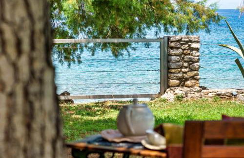 Malsova Studio - Foto 40