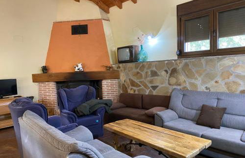 Higueras y Olivos - Foto 10