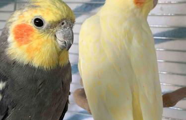 Casa da Aldeia - Exclusive Upper Floor with 3 Bedrooms and Private Pool - Foto 39