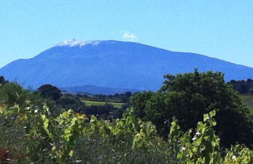 Domaine Fontaine - Foto 51