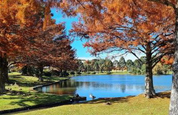 Fantástico Flat no Laje de Pedra Mountain Village - Foto 52