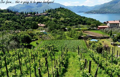 Agriturismo Conca Sandra - Farm Stay on Lake Como - Foto 39