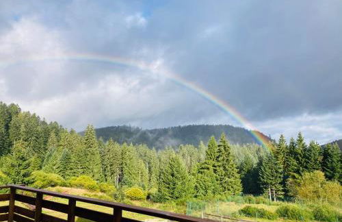 Le Perchoir, Gîte 7 personnes, Le Grand Valtin - Foto 35