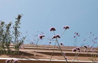 Ikima Living - Foto 36