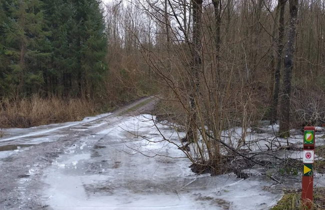 4 Star Holiday Home in Faaborg - Foto 32