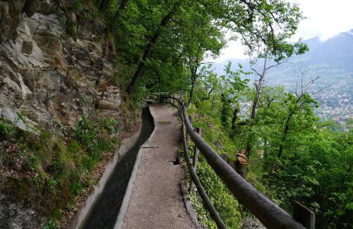 Weingut Pardellerhof - Foto 54