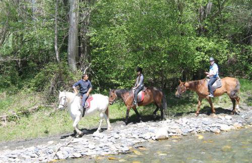 Apartamentos wifi Baqueira & Aigüestortes con jardín privado - Photo 9