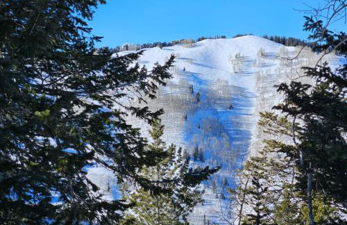 Stunning at Solitude, Steps from Chair Lift, East #103 - Foto 5